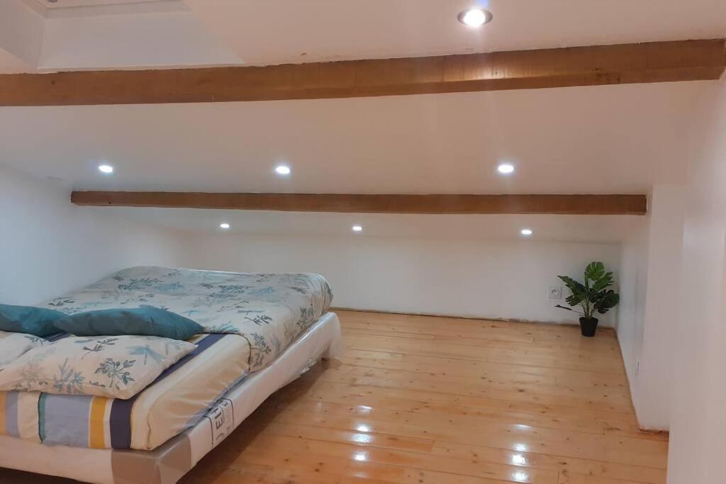 Appartement La Joie Dans Quartier Chic Pibrac Esterno foto