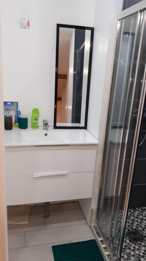 Appartement La Joie Dans Quartier Chic Pibrac Esterno foto