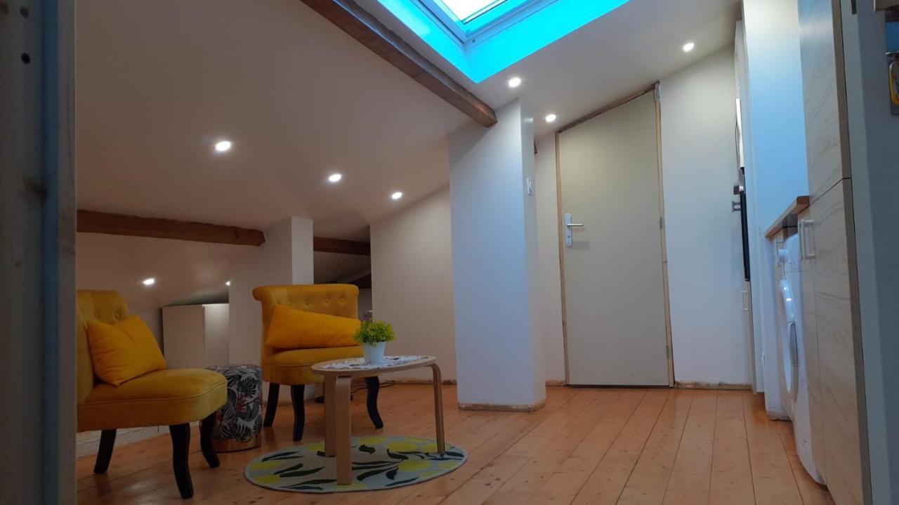 Appartement La Joie Dans Quartier Chic Pibrac Esterno foto
