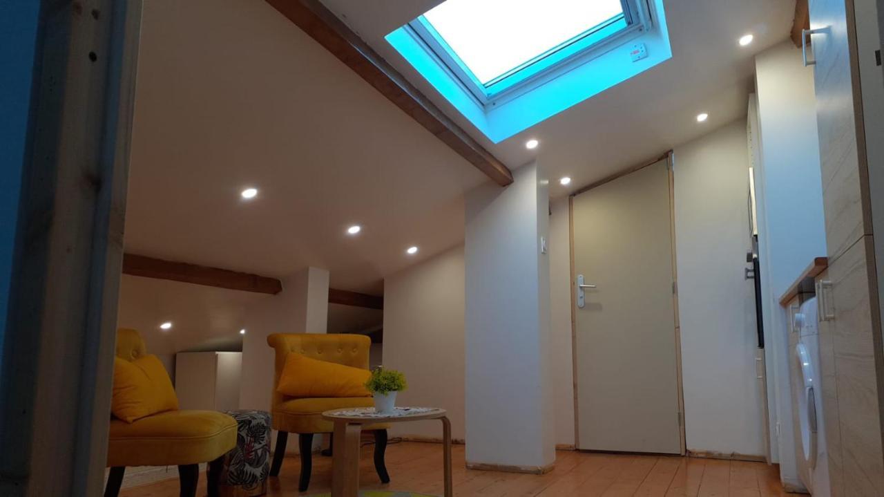 Appartement La Joie Dans Quartier Chic Pibrac Esterno foto