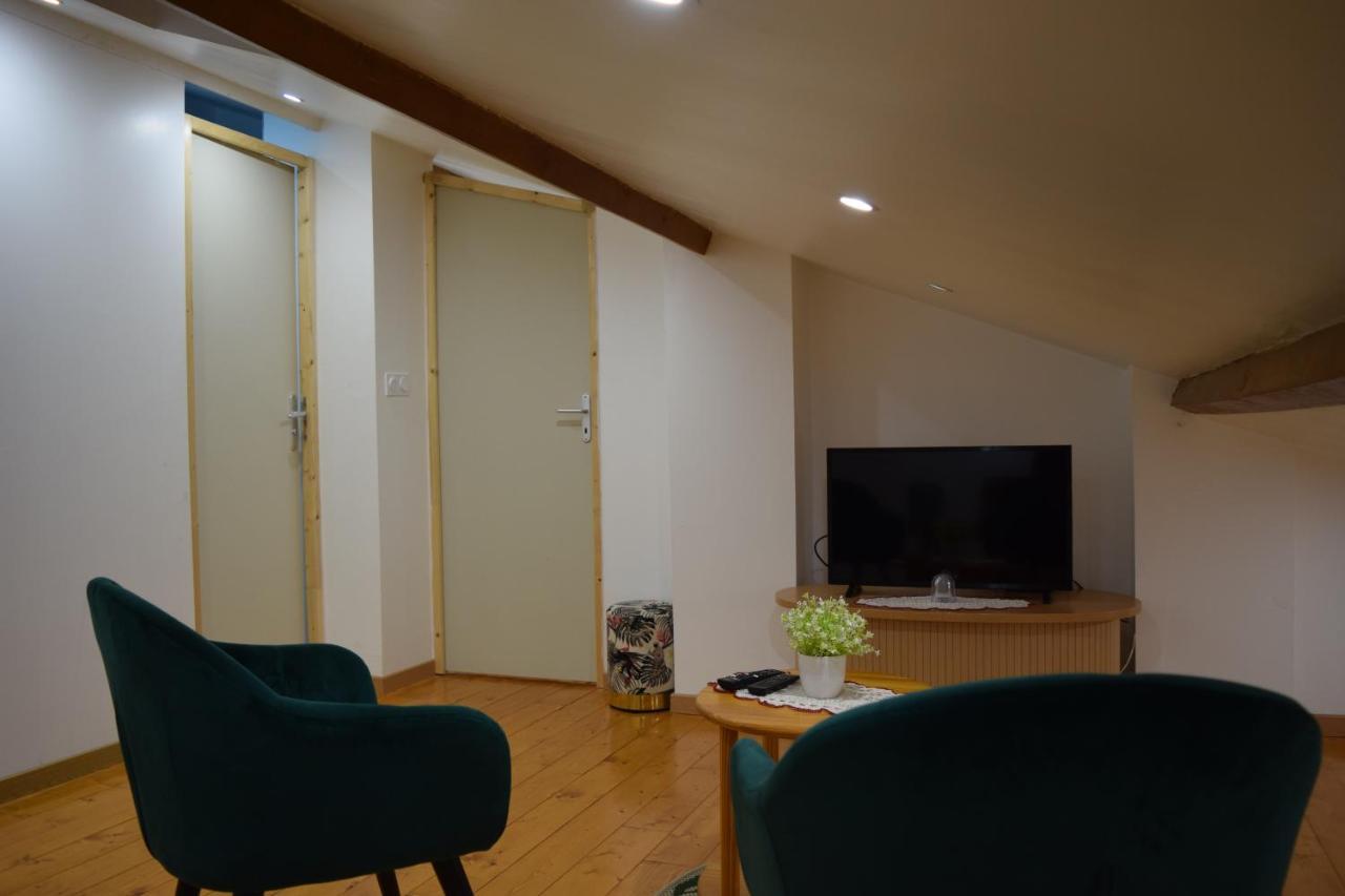 Appartement La Joie Dans Quartier Chic Pibrac Esterno foto